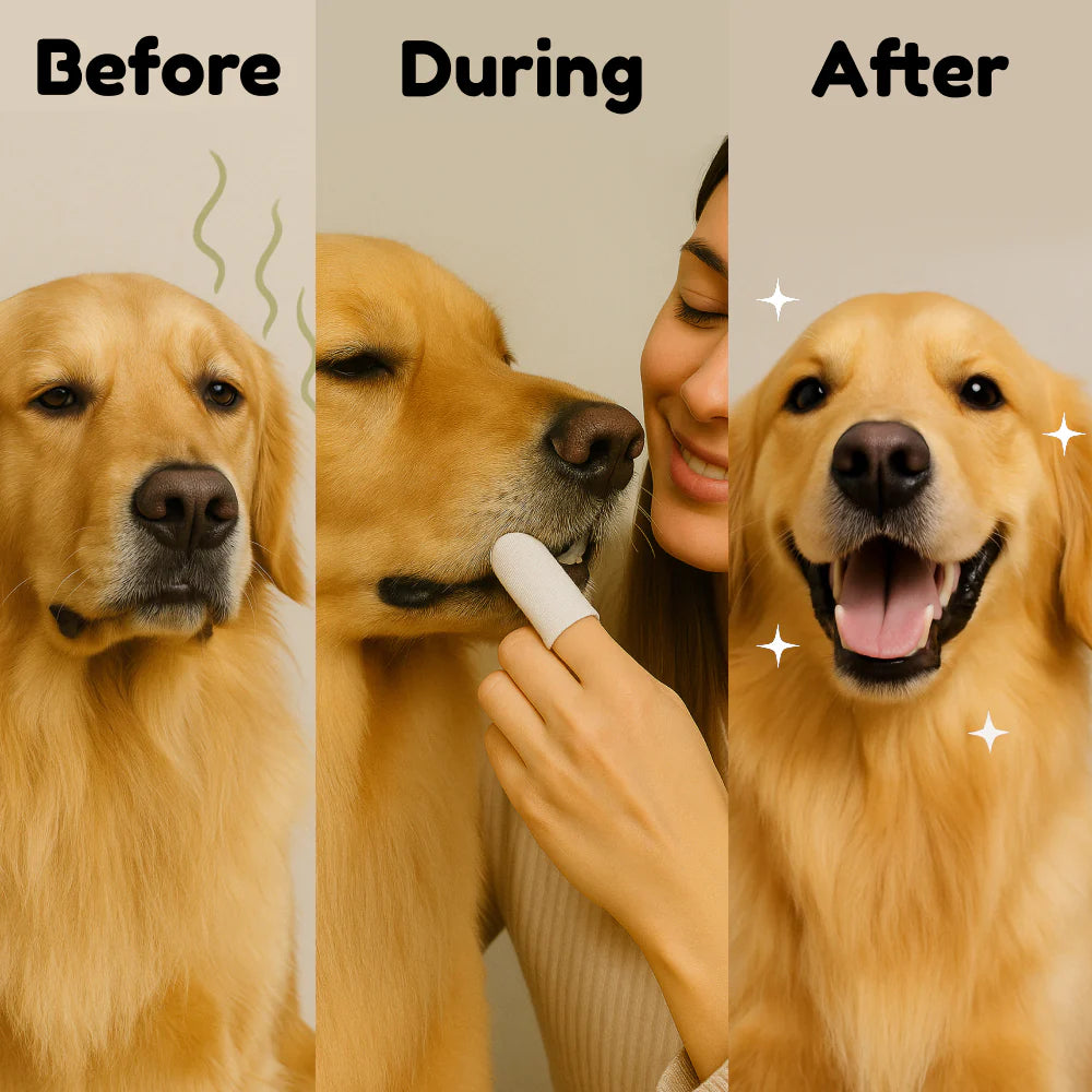 PetAmor Natural Pet Dental Finger Wipes